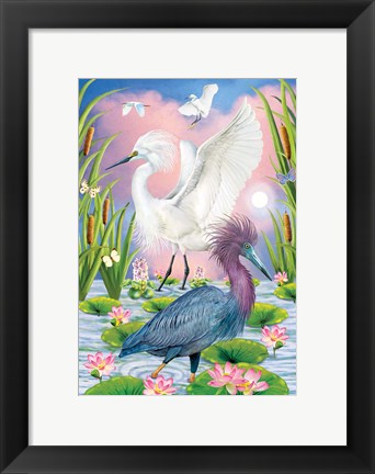 Framed LIttleblue And Snowy Herons Print