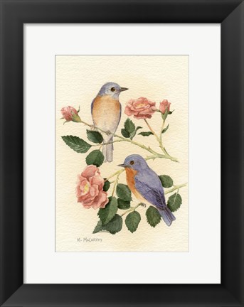 Framed Bluebird I Print