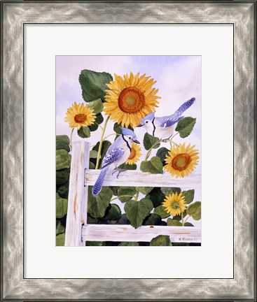 Framed Bluejays And Sunflowers Print