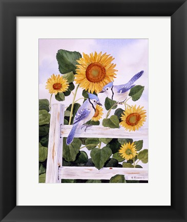 Framed Bluejays And Sunflowers Print