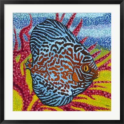 Framed Brilliant Tropical Fish II Print