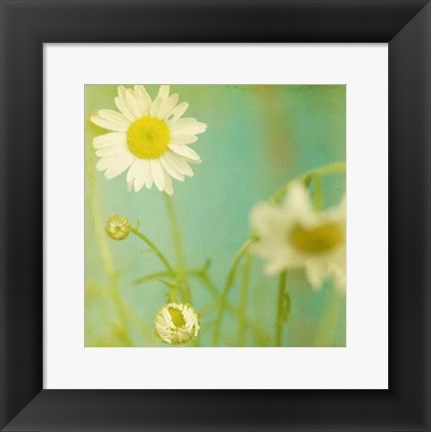 Framed White Flowers IV Print