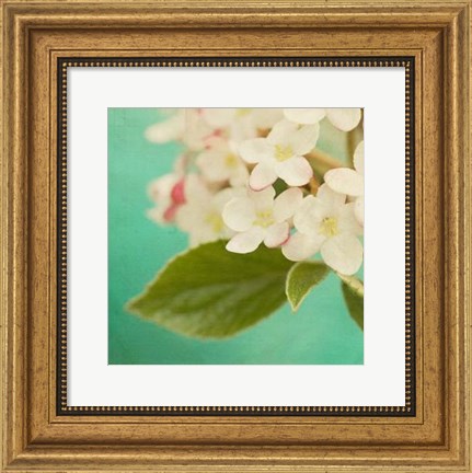 Framed White Flowers IX Print