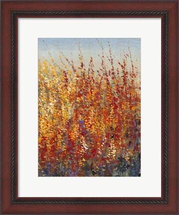 Framed High Desert Blossoms II Print