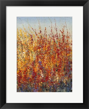 Framed High Desert Blossoms II Print