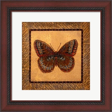 Framed Crackled Butterfly - Fritillary Print