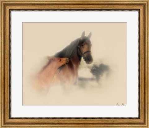 Framed Horse Portrait X Print