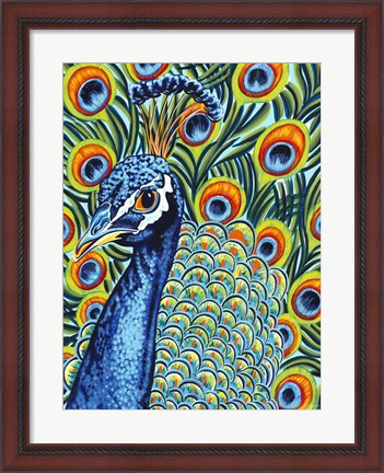 Framed Plumed Peacock I Print