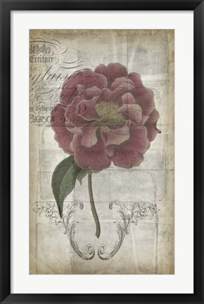 Framed French Floral III Print