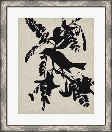 Framed Audubon Silhouette V Print