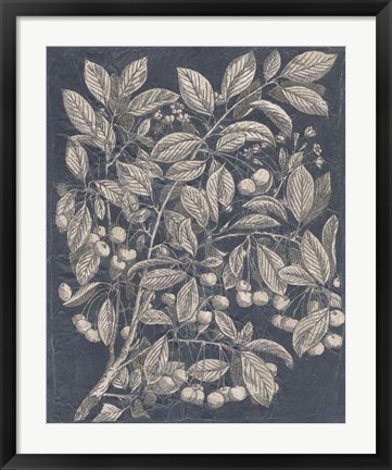 Framed Vintage Fruit &amp; Floral III Print