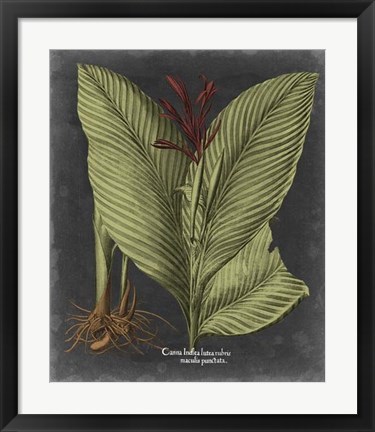 Framed Besler Dramatique II Print