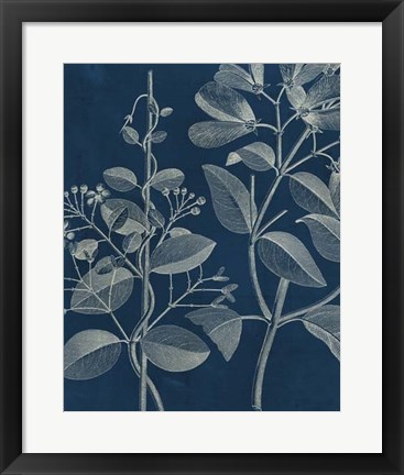 Framed Modern Botany I Print
