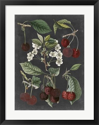 Framed Orchard Varieties I Print