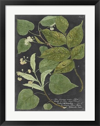 Framed Dramatic Weinmann Greenery III Print