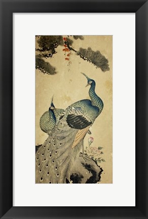 Framed Korean Peacocks Print