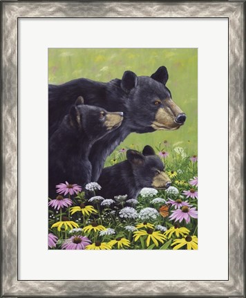 Framed Black Bears Print