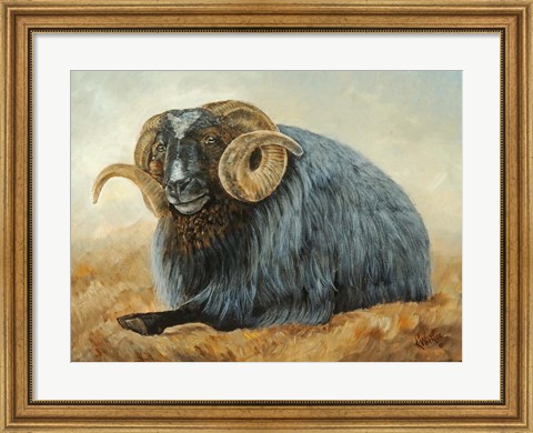 Framed Baa Baa Black Sheep Print