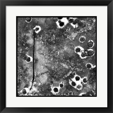 Framed Black Ice II Print