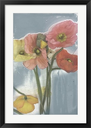 Framed Poppy Spray II Print