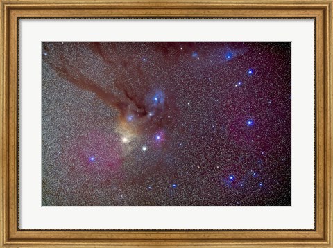 Framed Head of Scorpius with celestial deep sky objects Print
