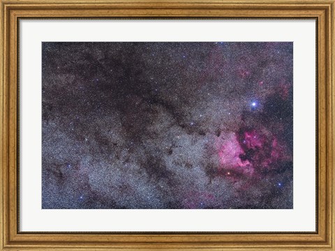 Framed North America Nebula and dark nebulae in Cygnus Print
