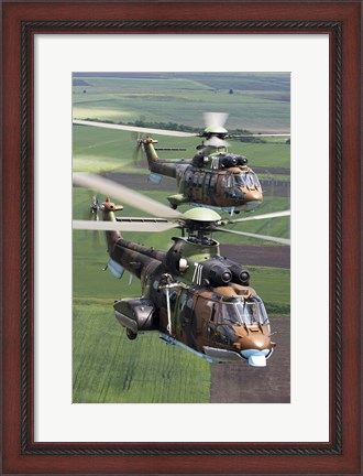 Framed Pair of Bulgarian Air Force Eurocopter AS532 AL Cougar helicopters Print