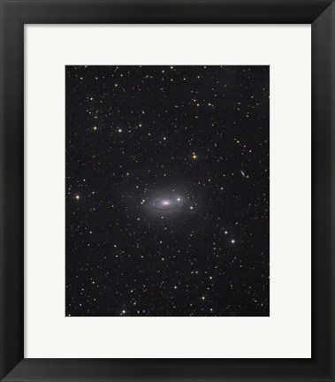 Framed Sunflower Galaxy Print