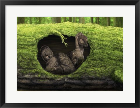 Framed pair of juvenile troodons in the hollow of a tree Print