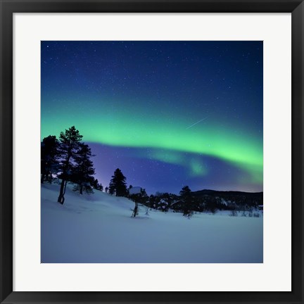 Framed Aurora Borealis and a shooting star in the woods of Troms County, Norway Print