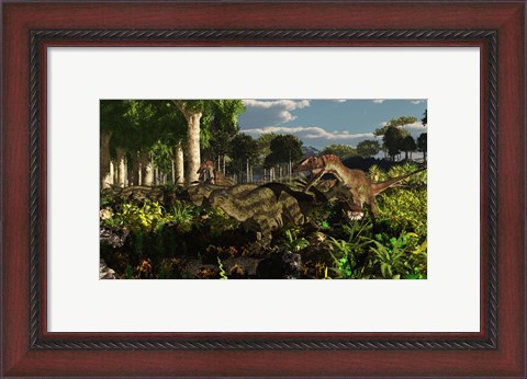 Framed Utahraptors hunting the early iguanodonts, Tenontosaurus Print