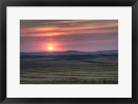 Framed Setting sun over harvested field, Gleichen, Alberta, Canada Print