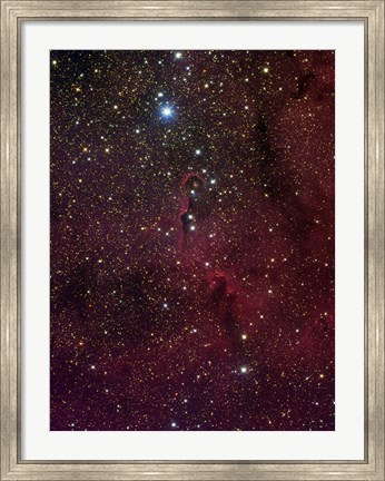 Framed Elephant&#39;s trunk nebula inside IC 1396 Print