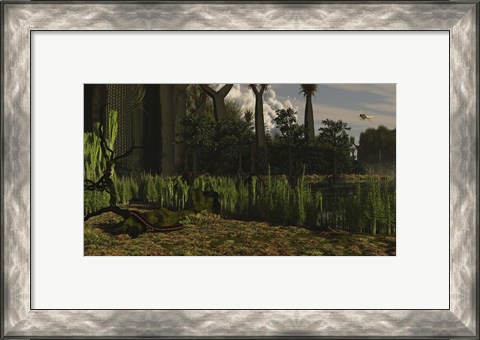 Framed Carboniferous forest of the Eastern United States 300 million years ago Print