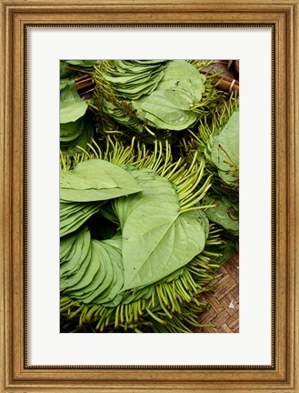 Framed Betel Leaves (Piper Betle) Used to Make Quids For Sale at Market, Myanmar Print