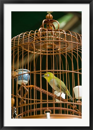 Framed Hong Kong, Bird Garden, Market, Caged pet birds Print