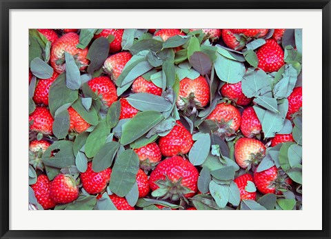 Framed China, Chongqing, Strawberries in fruit market Print