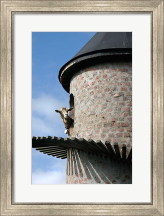Framed Fairview winery, goat tower, Paarl, South Africa Print