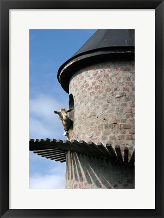 Framed Fairview winery, goat tower, Paarl, South Africa Print