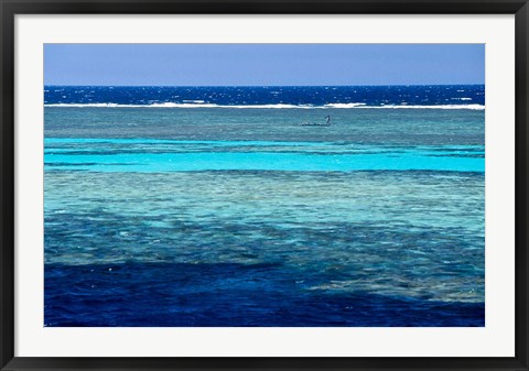 Framed Fisherman, Wooden Boat, Panorama Reef, Red Sea, Egypt Print