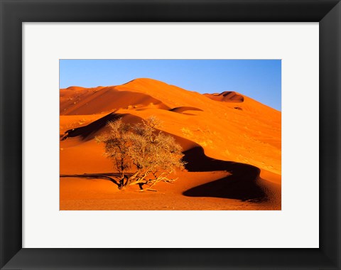 Framed Elim Dune Overcomes, Sesriem, Namib Naukluft Park, Namibia Print