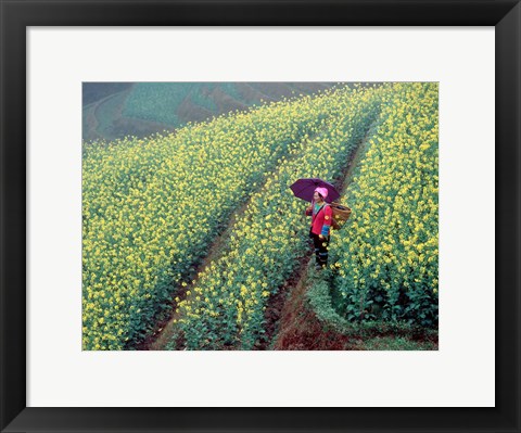 Framed Chinese Woman Walking in Field of Rapeseed near Ping&#39; an Village, Li River, China Print