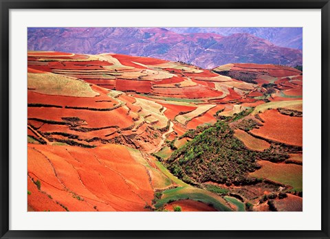 Framed China, Yunnan, Tilled Red Laterite, Agriculture Print