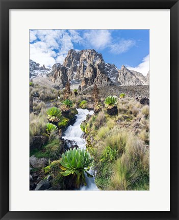 Framed Central Mount Kenya National Park, Kenya Print
