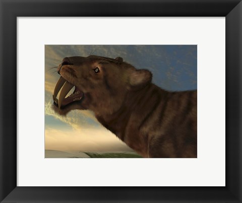 Framed Saber-Tooth Cat with dagger like front canine teeth Print