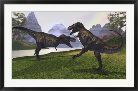 Framed Two Tyrannosaurus Rex dinosaurs fight for the right of a territory Print
