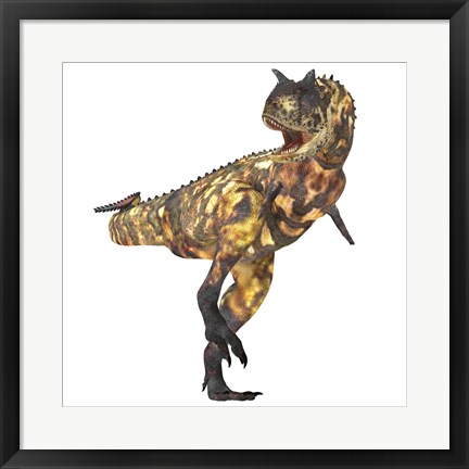 Framed Angry Carnotaurus dinosaur Print