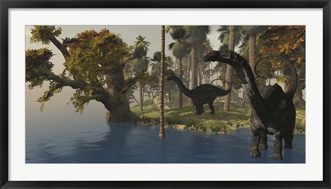 Framed Two Apatosaurus dinosaurs visit an island in prehistoric times Print