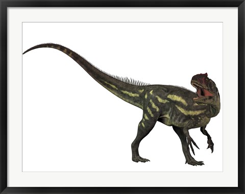 Framed Allosaurus, a prehistoric era dinosaur Print