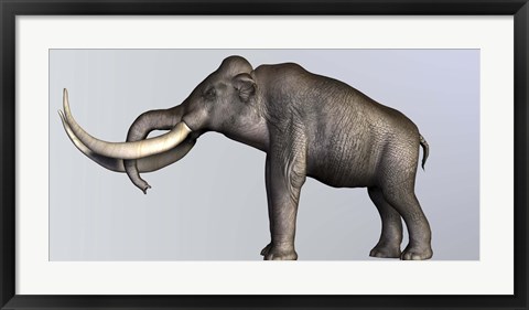 Framed Profile view of Columbian Mammoth Print